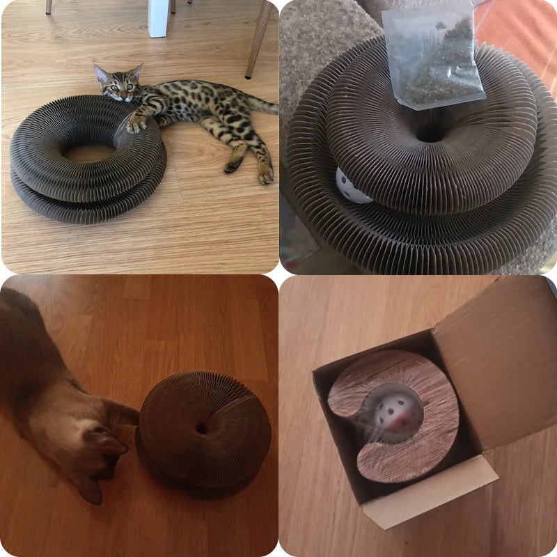 Cat Scratch Board Toy