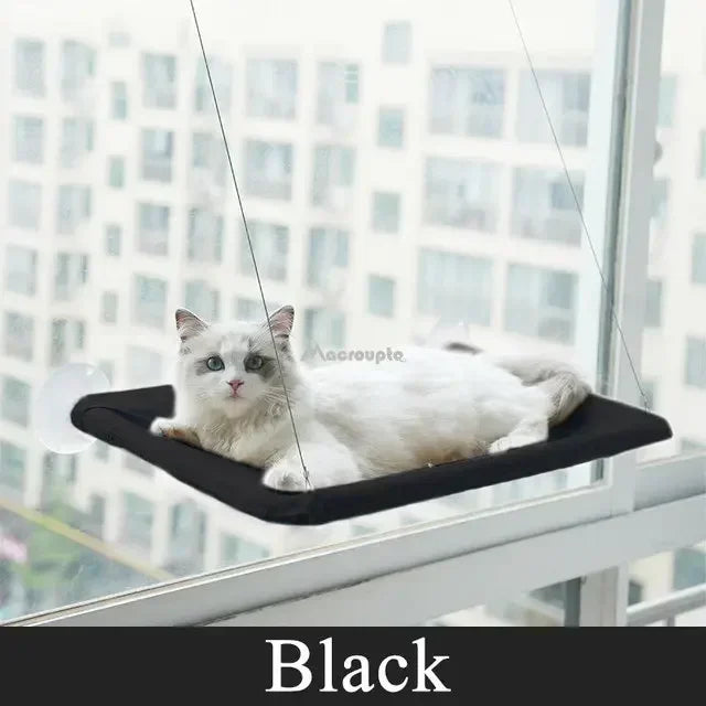 Floating Cat Hammock
