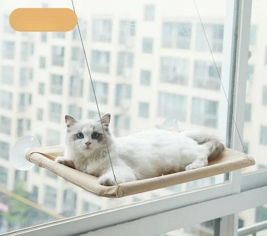 Floating Cat Hammock
