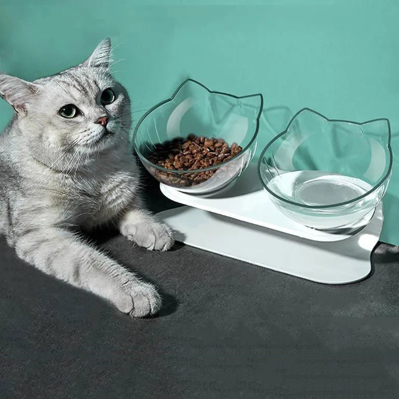 Cat Bowl Set (2 PCS)